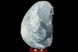 Crystal Filled Celestine (Celestite) Egg Geode - Madagascar #98813-2